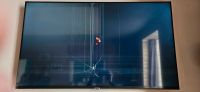 Samsung Smart TV GU55AU6979U mit Displayschaden Rheinland-Pfalz - Spay Vorschau