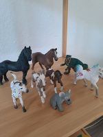 Schleich Pferde, Koala, Dinosaurier auch einzeln Leipzig - Sellerhausen-Stünz Vorschau