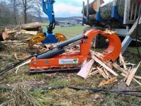 22 To. Spaltzange liegend Rückewagen Bagger Traktor Holzspalter Bayern - Berg bei Neumarkt i.d.Opf. Vorschau