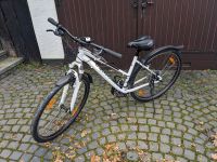 Specialized Ariel Step Trekking Damen-Fahrrad 26" Nordrhein-Westfalen - Wickede (Ruhr) Vorschau