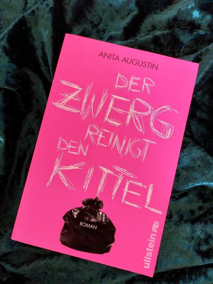 Buch Roman Der Zwerg reinigt die Kittel Unterhaltungsliteratur in Dresden