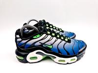 Nike TN Air Max Plus Icons Scream Green GS Gr. 36 / Sehr gut Rheinland-Pfalz - Worms Vorschau