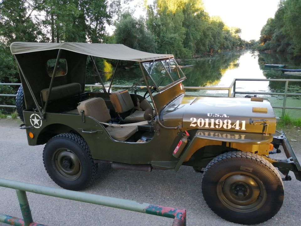 Willys Jeep in Oberhausen-Rheinhausen