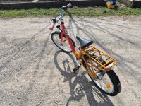 Kinderfahrrad 20 Zoll zu verkaufen Bayern - Rott Vorschau