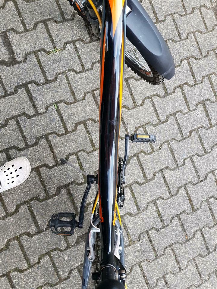 Fahrrad 26 zoll in Elbtal