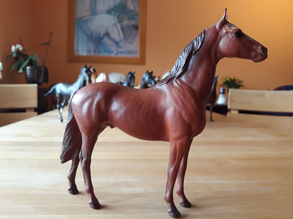 Breyer Pferd Classic ab 5 € Sammlungsauflösung in Seefeld