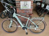 Pegasus/Bosch/65Nm/625Wh Akku/RH50/Bender's E-Bike Pedelec Niedersachsen - Rinteln Vorschau