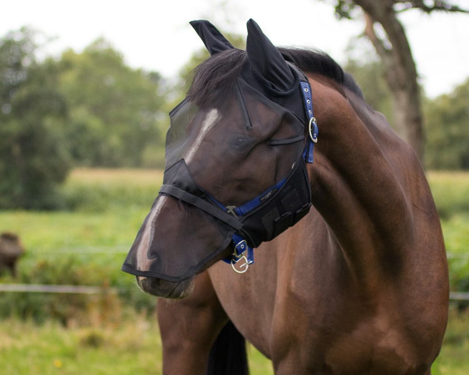 QHP Fliegenmaske mit Schopfloch  Mini-Shetty-Pony-Cob- Full-XFull in Mönchengladbach