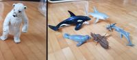 Schleich Orka, Hai, Delfin, Eisbär und Robbe Freiburg im Breisgau - Au  Vorschau