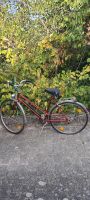 Turmberg Damen Fahrrad 28 Zoll Rheinland-Pfalz - Kuhardt Vorschau