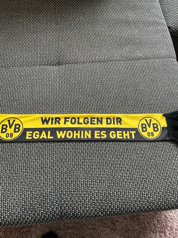 Org.BVB Schal klein. Fußball in Dortmund