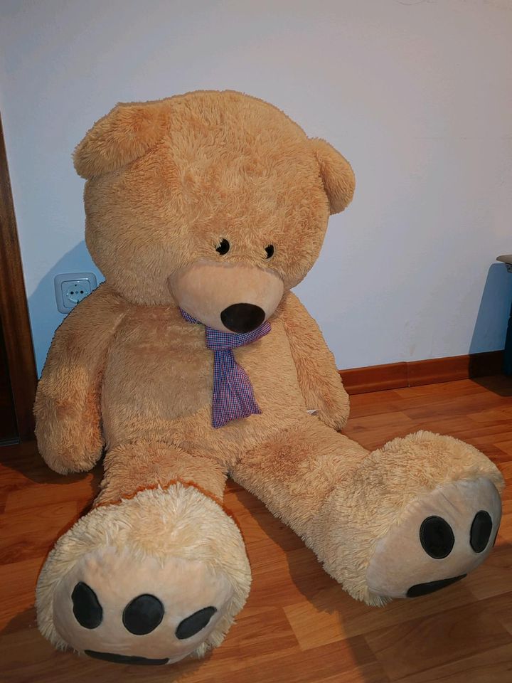 Teddybär 120cm in Hamburg