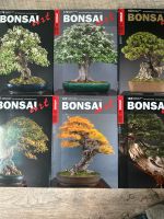 ‼️Zeitschrift Bonsai Art Thüringen - Erfurt Vorschau