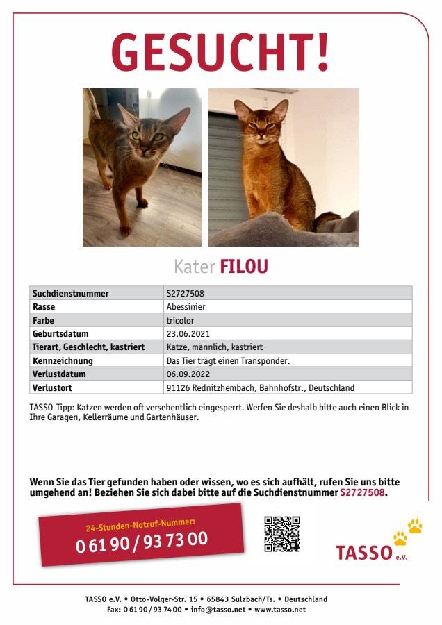 Kater Filou vermisst in Rednitzhembach