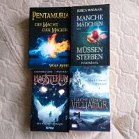 Bücher Paket Fantasy, Jugendbücher Baden-Württemberg - Ostfildern Vorschau