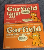 Garfield - das erste Buch und das dritte Buch Berlin - Borsigwalde Vorschau