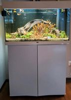 Aquarium Juwel Rio 125 SBX inkl. Pflanzen und Fischbestand Sachsen - Kamenz Vorschau