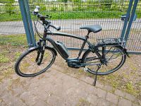 E-Bike Herkules Robert Niedersachsen - Bad Essen Vorschau