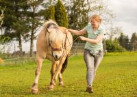 Mobiler Pferdetrainer, Reitunterricht, Bodenarbeit, Horsemanship Baden-Württemberg - Hechingen Vorschau