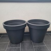 Blumentopf Kübel Pflanze Topf Garten Balkon Terrasse xxl neu Baden-Württemberg - Pfinztal Vorschau