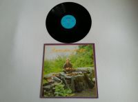 DDR Vinyl LP " Hans die Geige ", Amiga 1988 Leipzig - Gohlis-Nord Vorschau