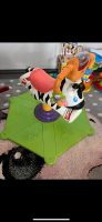 HipHop Zebra Fisherprice Nordrhein-Westfalen - Euskirchen Vorschau