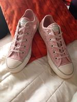 CONVERSE AllStar Dresden - Cossebaude Vorschau