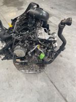 MOTOR M9R 630 2.0 dCi RENAULT TRAFIC OPEL VIVARO KOMPLETT Hannover - Nord Vorschau