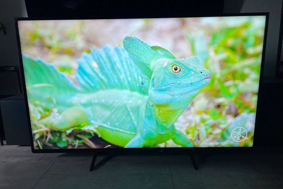Panasonic 55 Zoll 4K UHD Smart TV in Essen