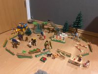 Playmobil - Pferde-/ Fohlenwiese + Trainingsplatz + Kutsche Nordrhein-Westfalen - Metelen Vorschau