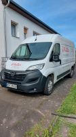 Transporter Opel Movano 3,5t 3Sitzer Sprinter Hessen - Philippsthal (Werra) Vorschau