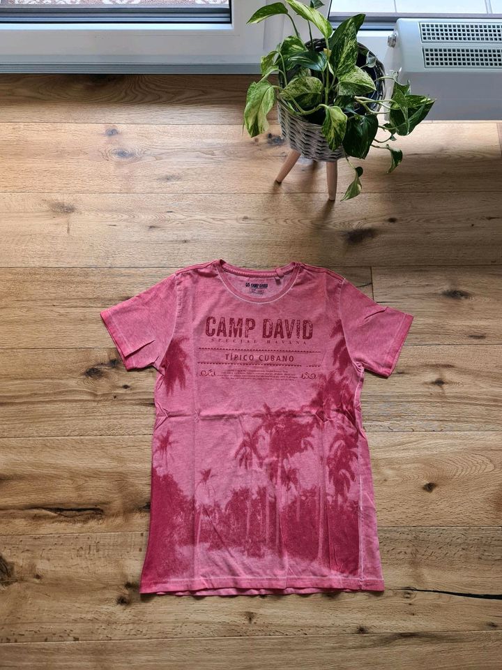 Camp David T-Shirt  Gr.176 in Sindelfingen