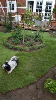 Rollrasen Gartenbau Landschaftsbau Niedersachsen - Hittbergen Vorschau