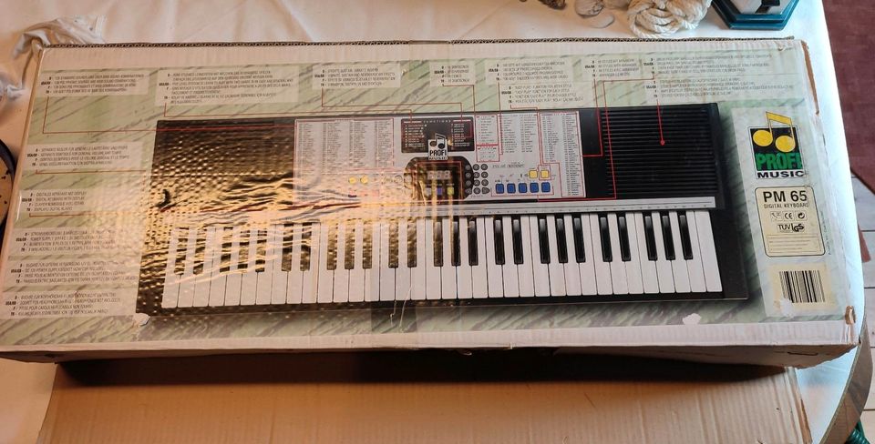 Keyboard - Profimusic PM65 in Schafstedt