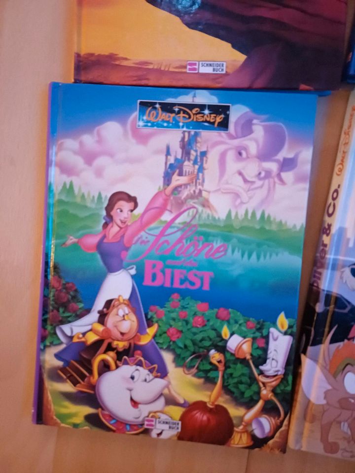 Walt Disney Kinderbücher Set in Neustrelitz