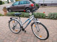 Damenfahrrad Damenrad Fahrrad 28 Zoll TEXO Baden-Württemberg - Freiamt Vorschau