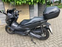 125er Honda Forza / 3500 gelaufen Nordrhein-Westfalen - Castrop-Rauxel Vorschau