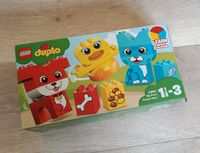 Lego Duplo 10858, neu Baden-Württemberg - Krauchenwies Vorschau