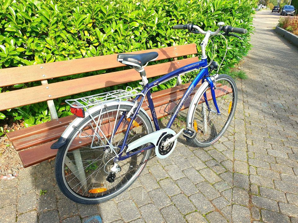 Fahrrad Herren 28 Zoll Specialized City blau Stadt neuwertig in Konz