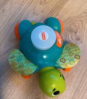 Fisher Price Schildkröte Nordrhein-Westfalen - Lippstadt Vorschau