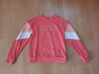 Puma Sweatshirt, Mädchen, Größe 164, sehr guter Zustand Rheinland-Pfalz - Rüber Vorschau