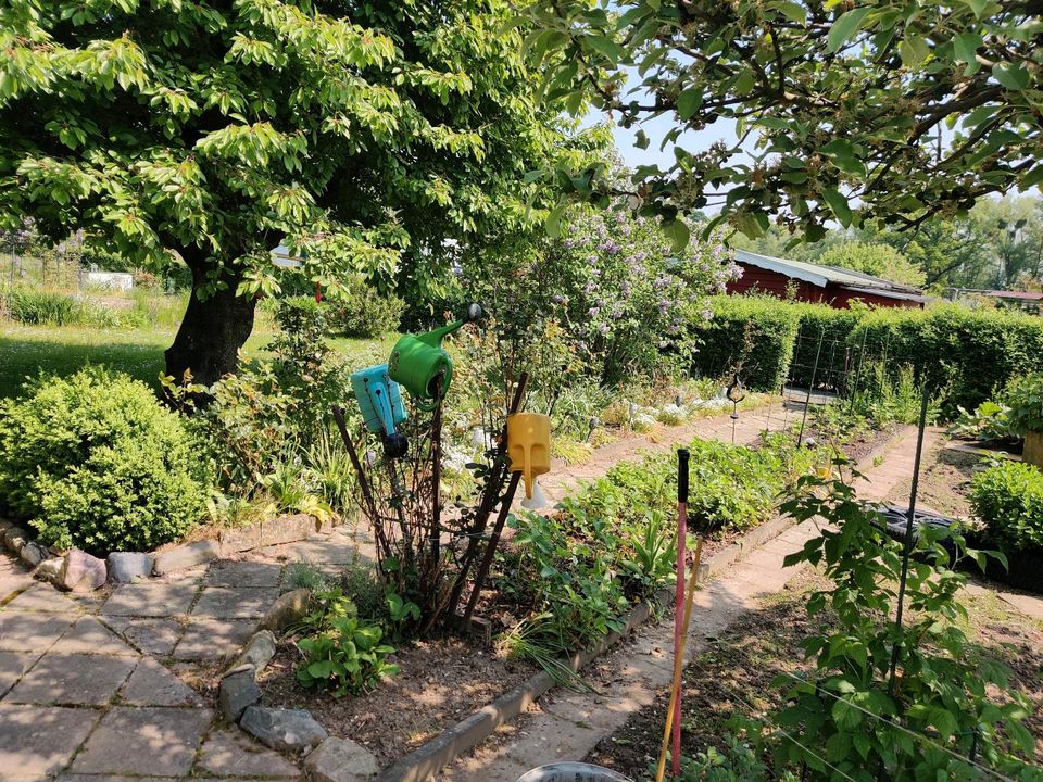 Gartenparzelle im Süden von Pirna in Dresden