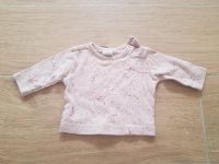 Babyshirt Babypollover rosa 56 Kreis Ostholstein - Eutin Vorschau