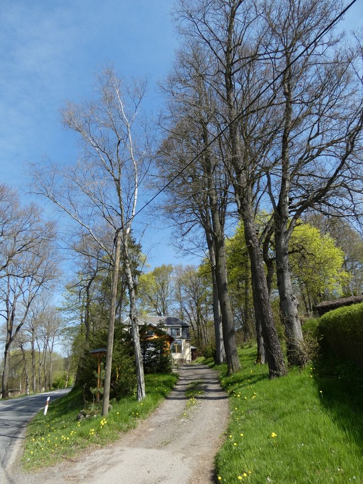 Schöne, teilsanierte Gründerzeit - Villa mit Wintergarten & Dachterrasse auf 2.868 m² großem Grundstück in Schlettau in Schlettau