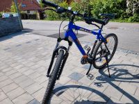 MTB Bulls AL-300 Sport Bayern - Freising Vorschau