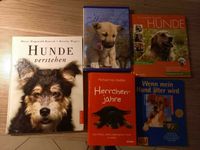 Hundebücher, Bücher für Hundefans, Ratgeber Hunde Kreis Pinneberg - Halstenbek Vorschau