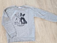 Mango Mädchen Pullover,  Shirt, Sweatshirt,  Gr 164 Baden-Württemberg - Konstanz Vorschau