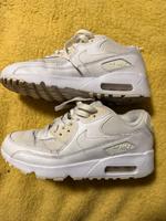 Verkaufe Nike air max 90 Hessen - Dornburg Vorschau