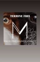 Madeleines Hundeschnitt „BY KATI“ Hundesalon/ hundefriseur Eimsbüttel - Hamburg Eidelstedt Vorschau