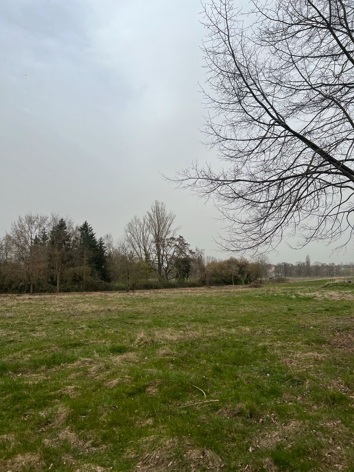 Bauland am Landschaftsschutzgebiet Parthenaue in Leipzig